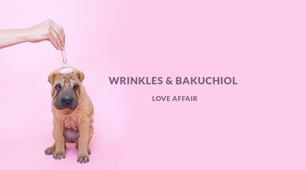dog next to text wrinkles & bakuchiol love affair